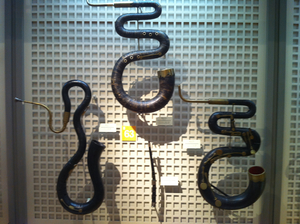 hamamatsu serpents